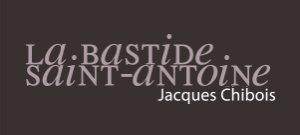 Hôtel La Bastide Saint Antoine